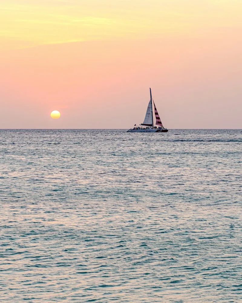 Catamaran sailing towards the sunset